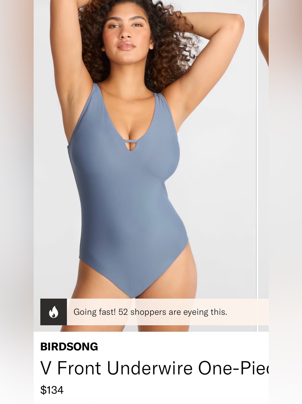 Nwt Birdsong Blue Vneck Onepiece Swimsuit